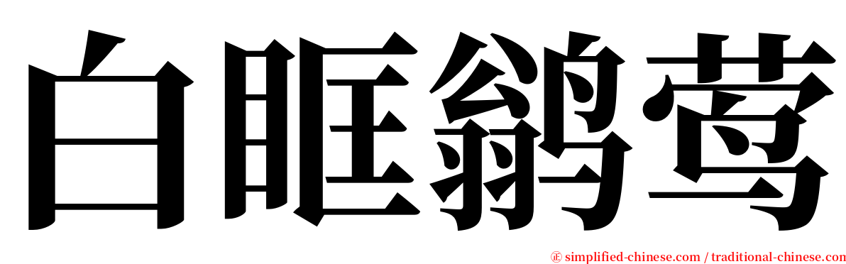白眶鹟莺 serif font