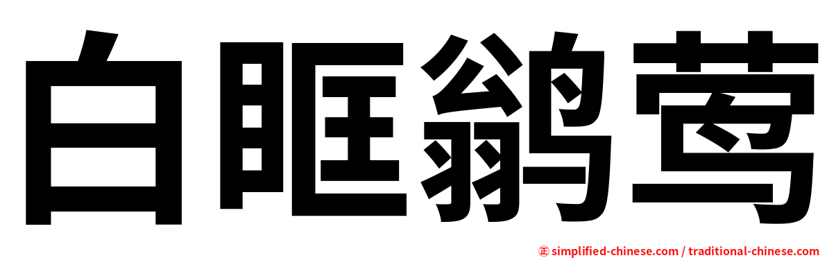 白眶鹟莺
