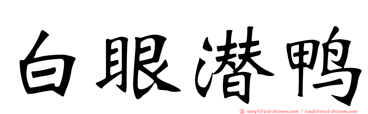 白眼潜鸭