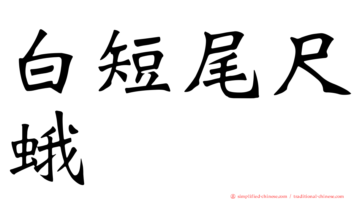 白短尾尺蛾