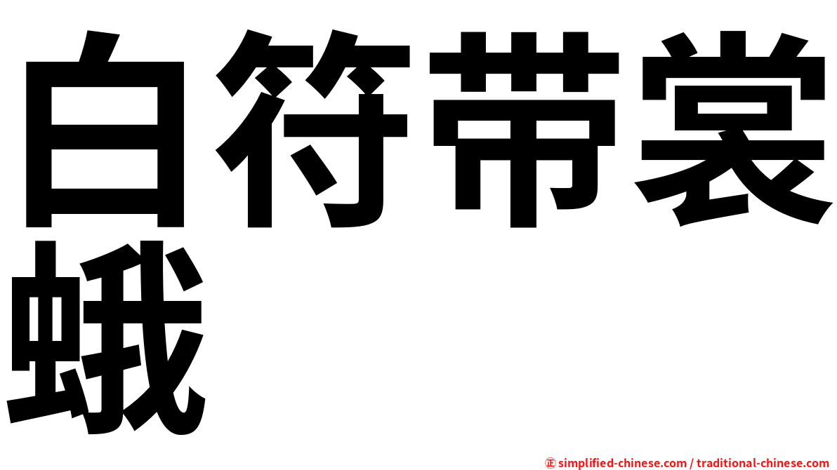白符带裳蛾