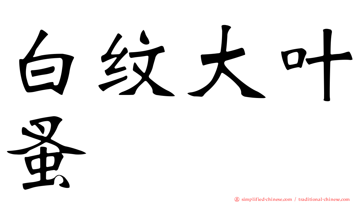 白纹大叶蚤