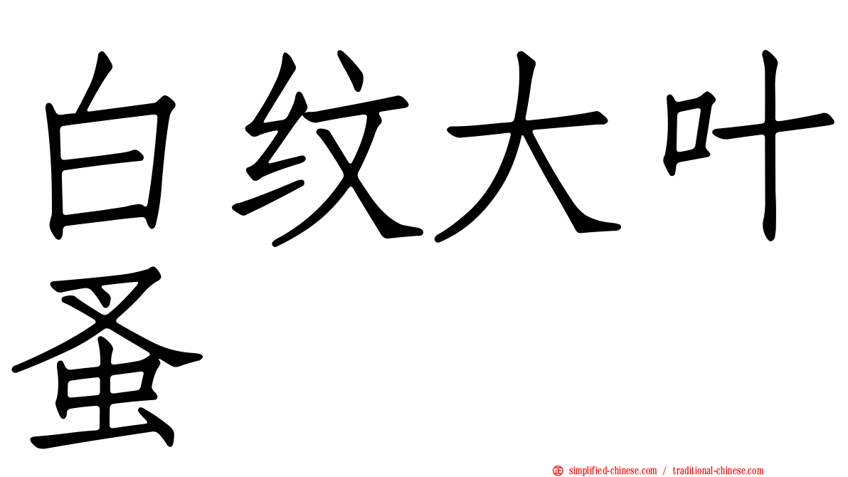 白纹大叶蚤
