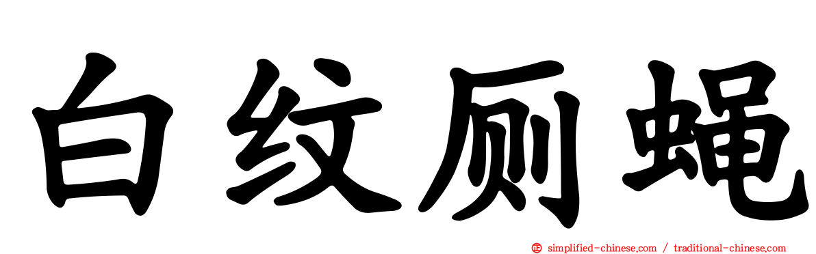 白纹厕蝇