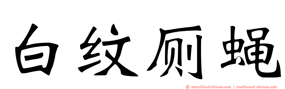 白纹厕蝇