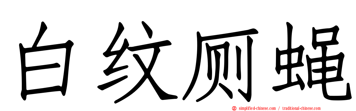 白纹厕蝇