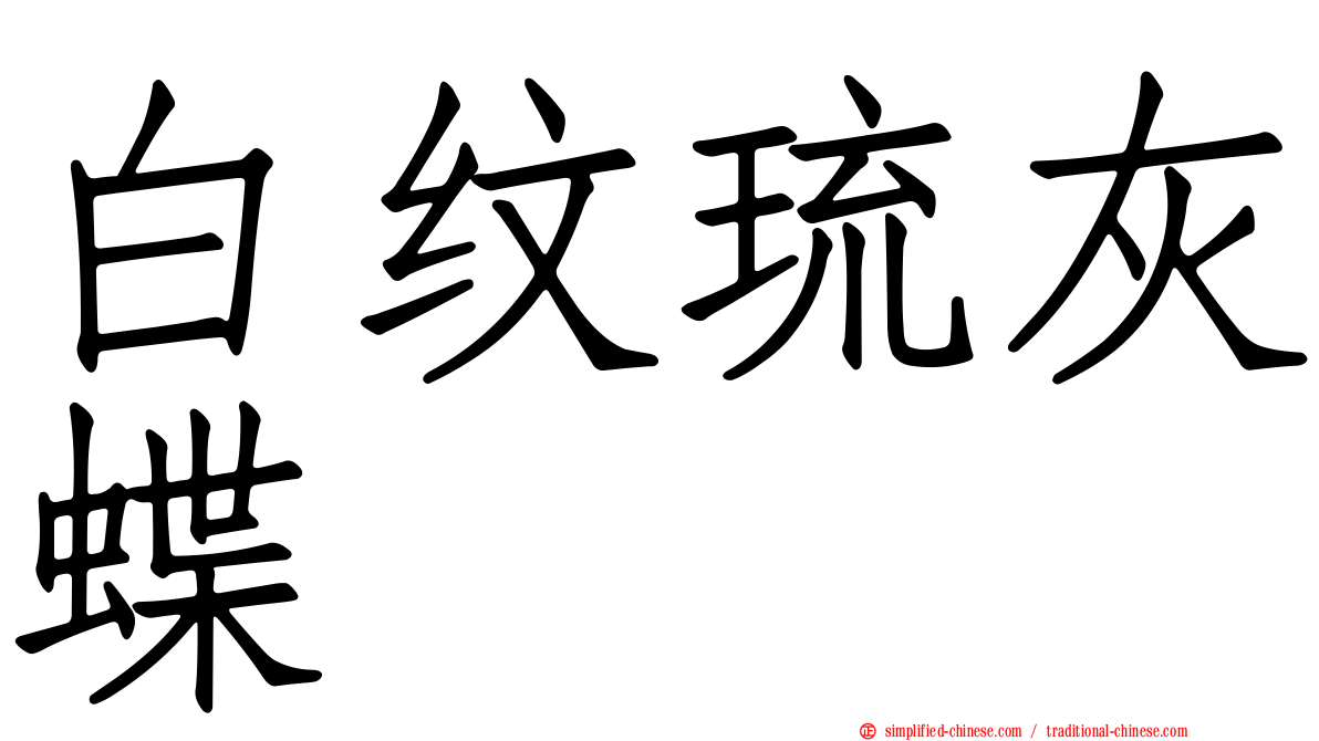 白纹琉灰蝶