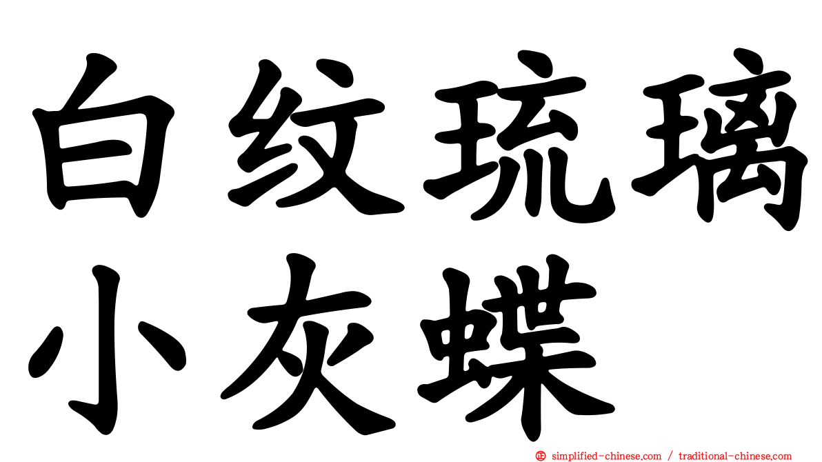 白纹琉璃小灰蝶