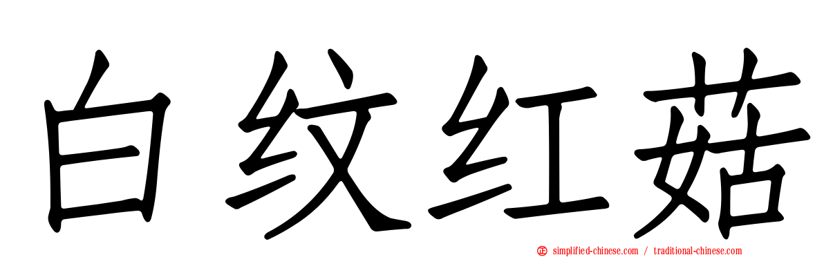 白纹红菇