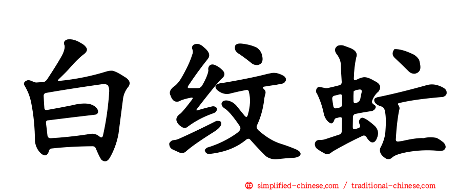 白纹虻
