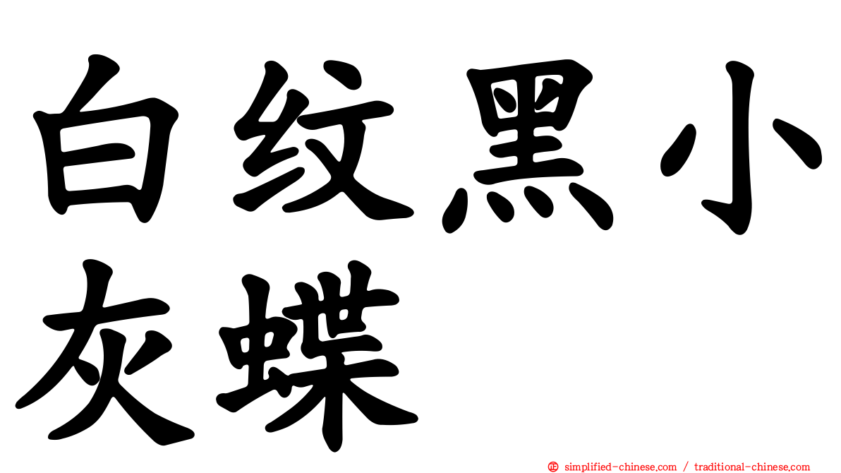 白纹黑小灰蝶