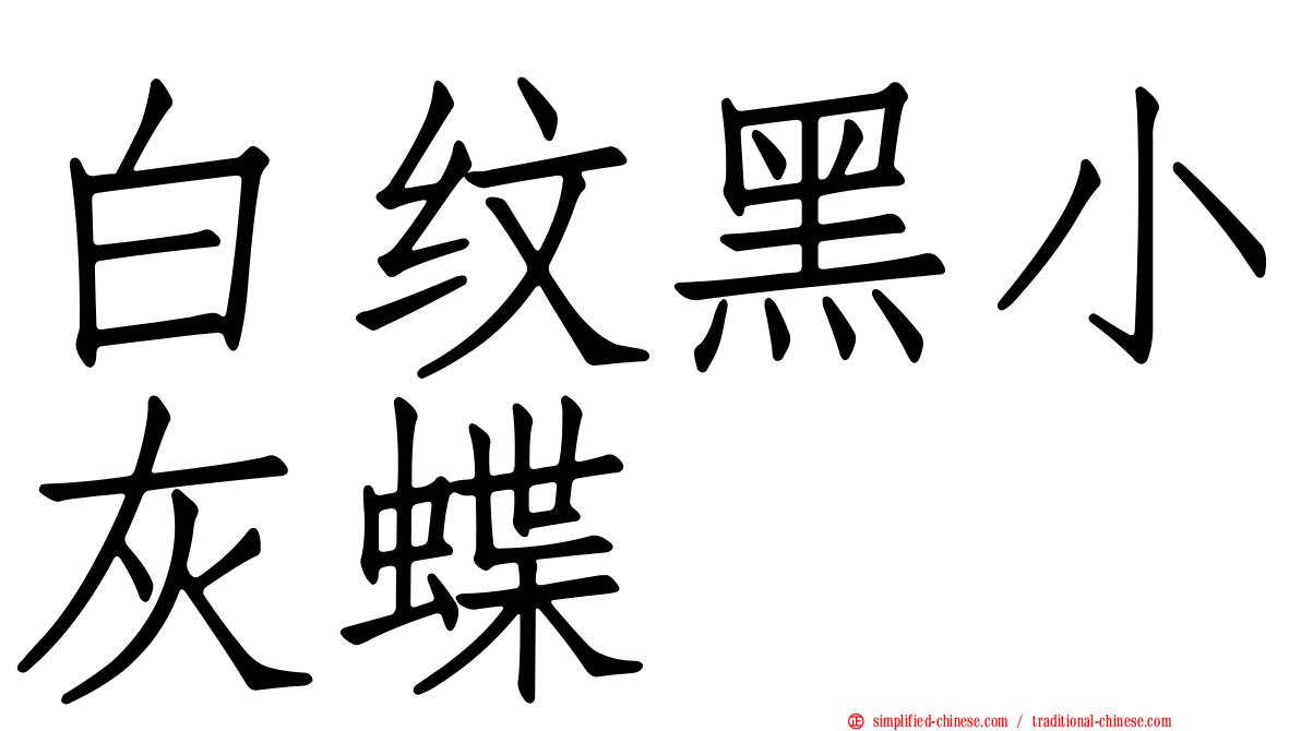 白纹黑小灰蝶