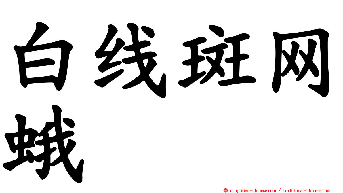 白线斑网蛾