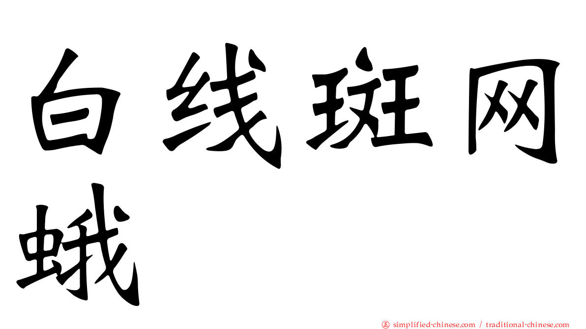 白线斑网蛾
