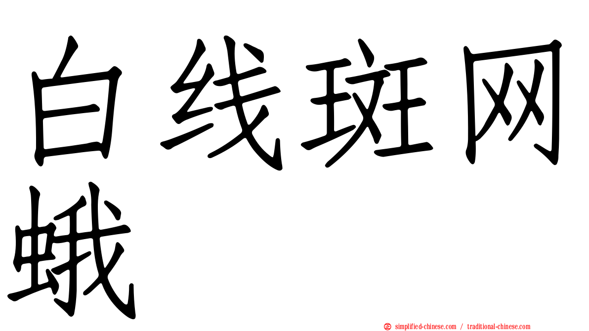 白线斑网蛾