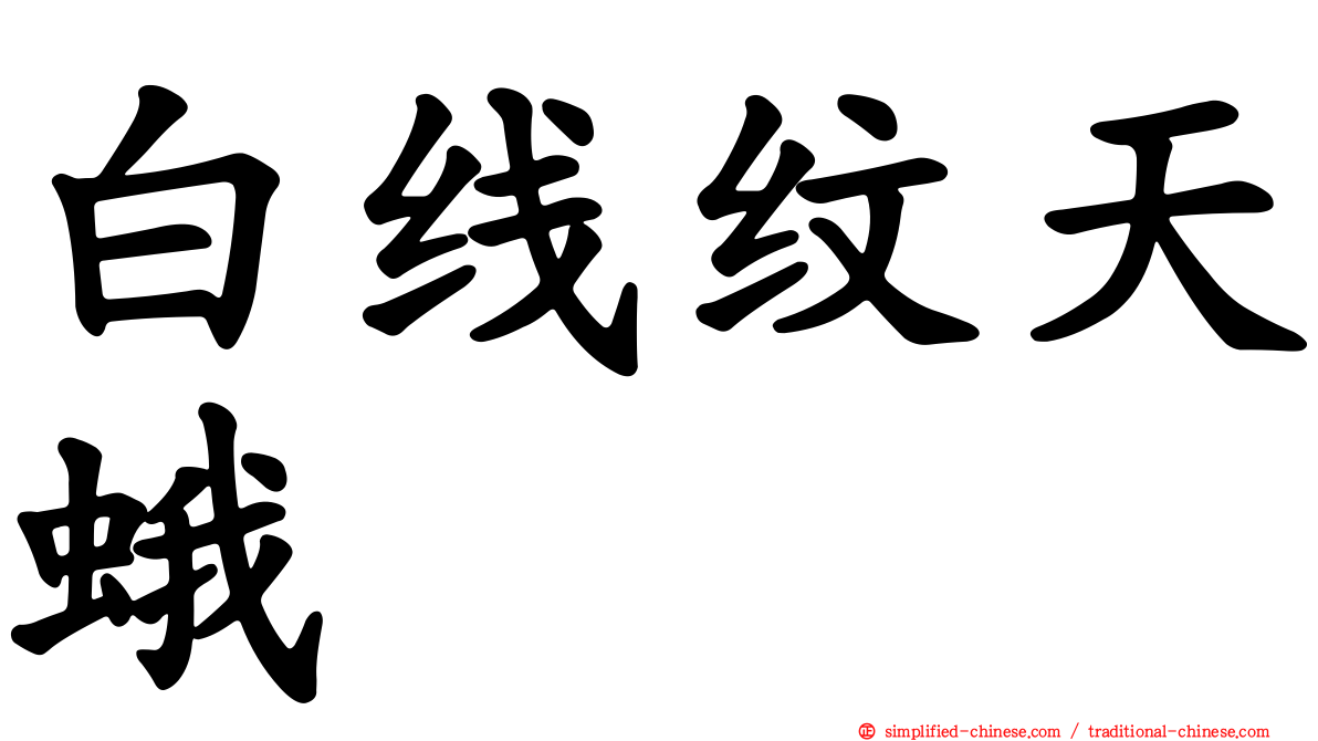 白线纹天蛾