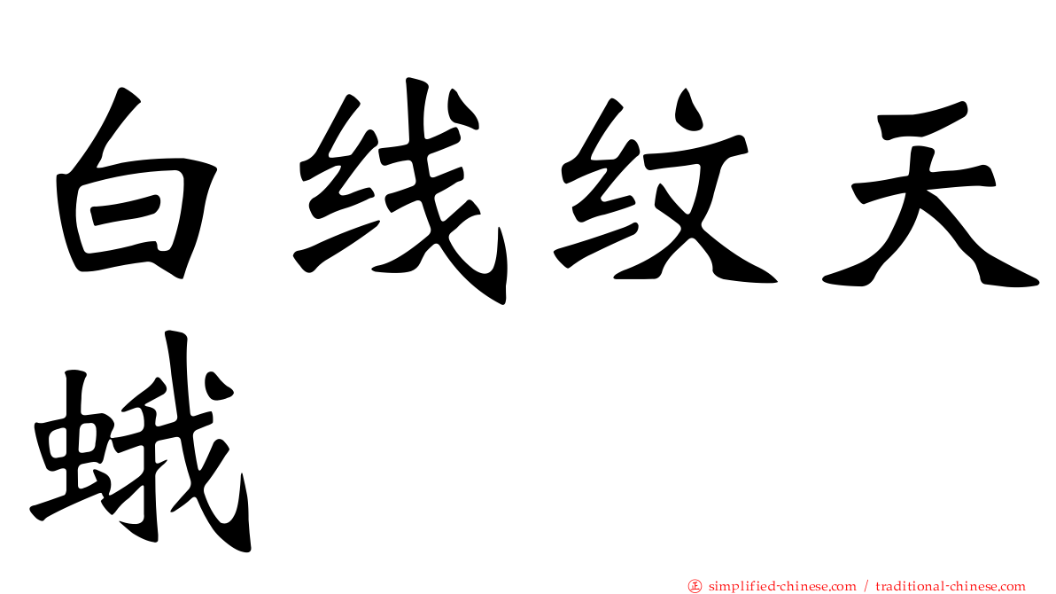 白线纹天蛾