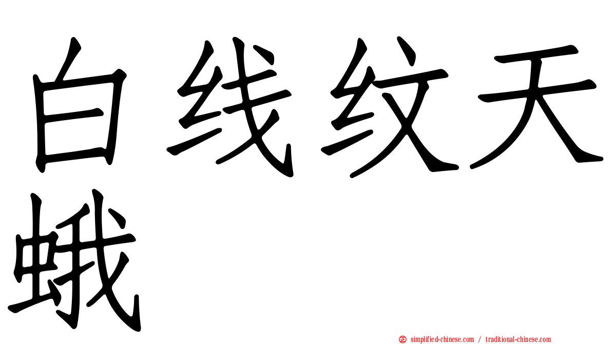 白线纹天蛾