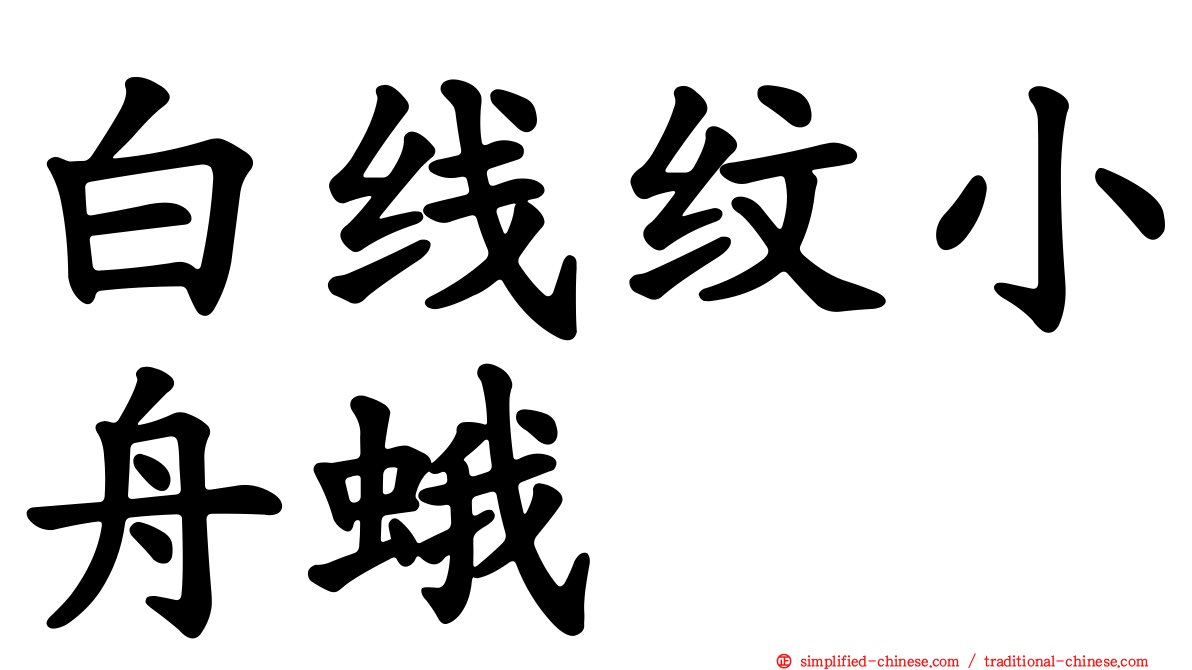 白线纹小舟蛾