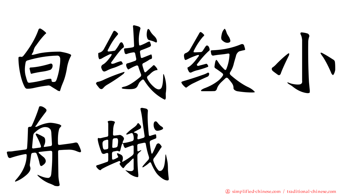 白线纹小舟蛾