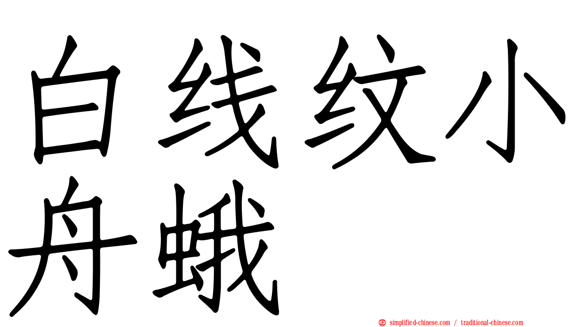 白线纹小舟蛾