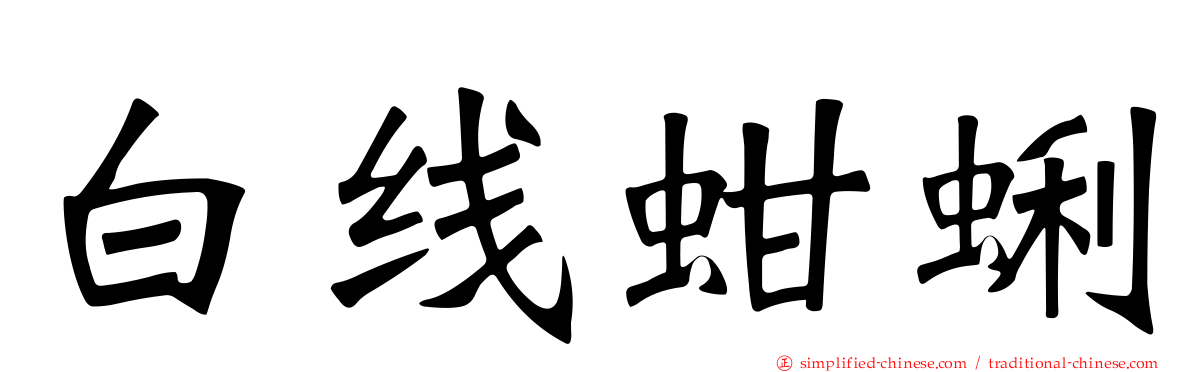 白线蚶蜊