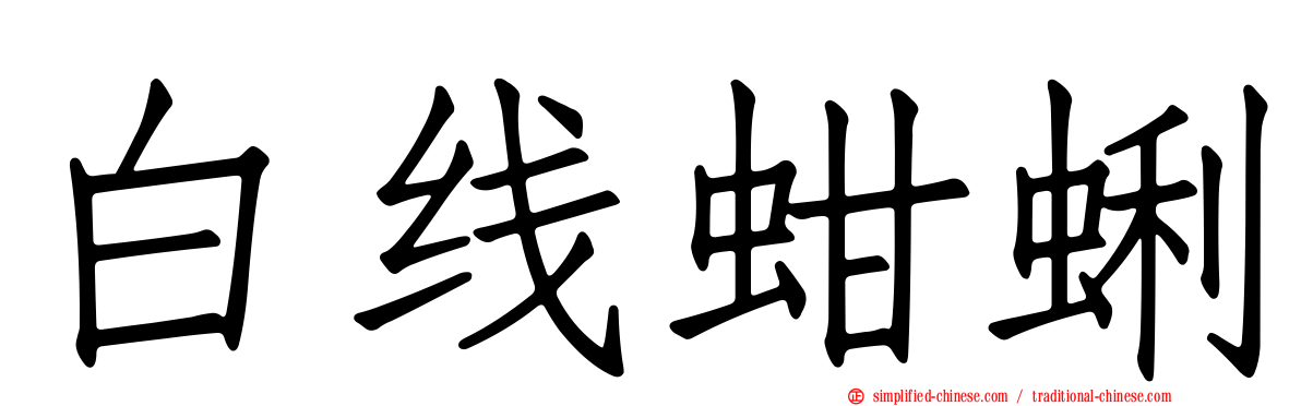 白线蚶蜊