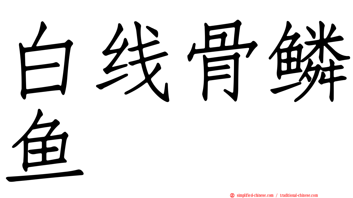 白线骨鳞鱼