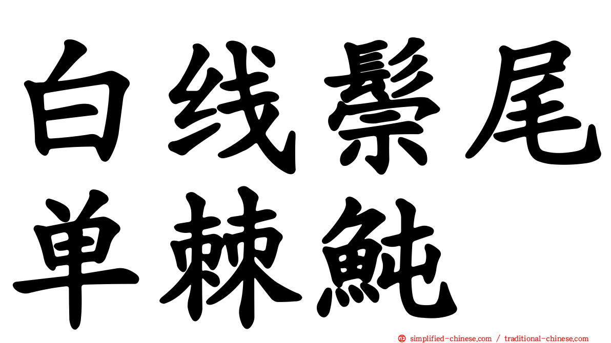 白线鬃尾单棘鲀