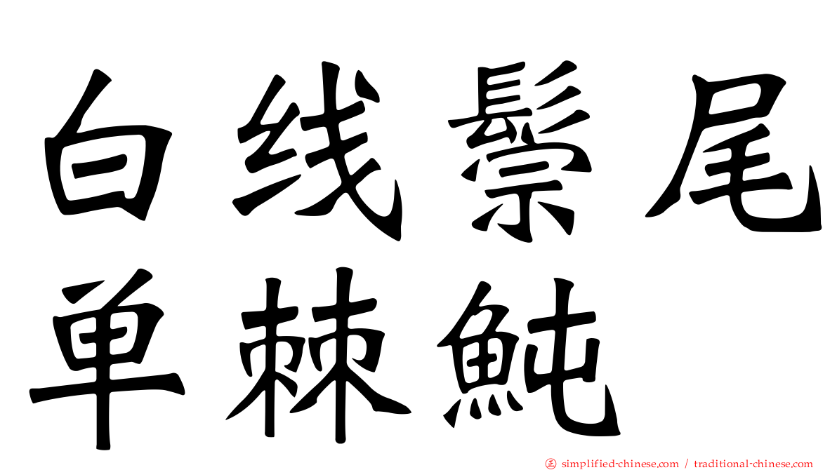 白线鬃尾单棘鲀