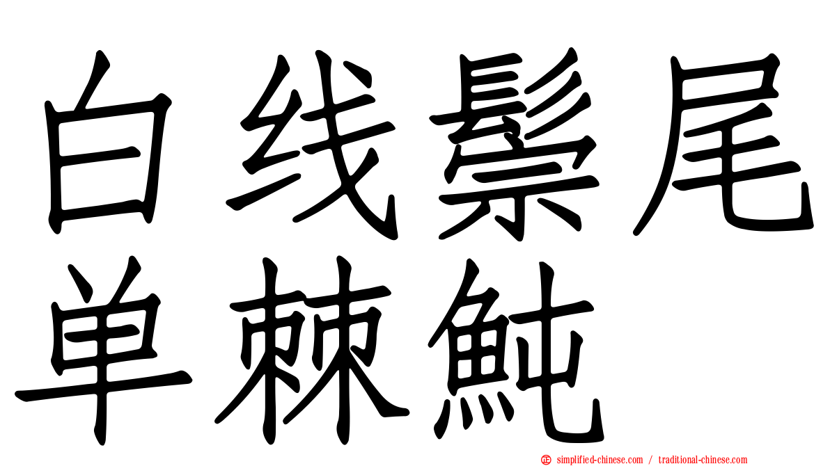 白线鬃尾单棘鲀