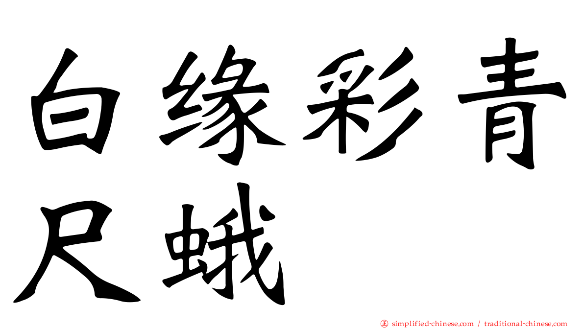 白缘彩青尺蛾