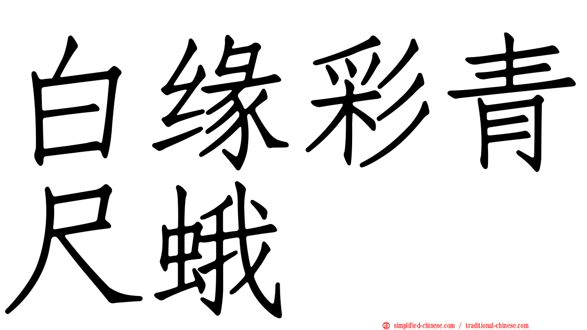 白缘彩青尺蛾