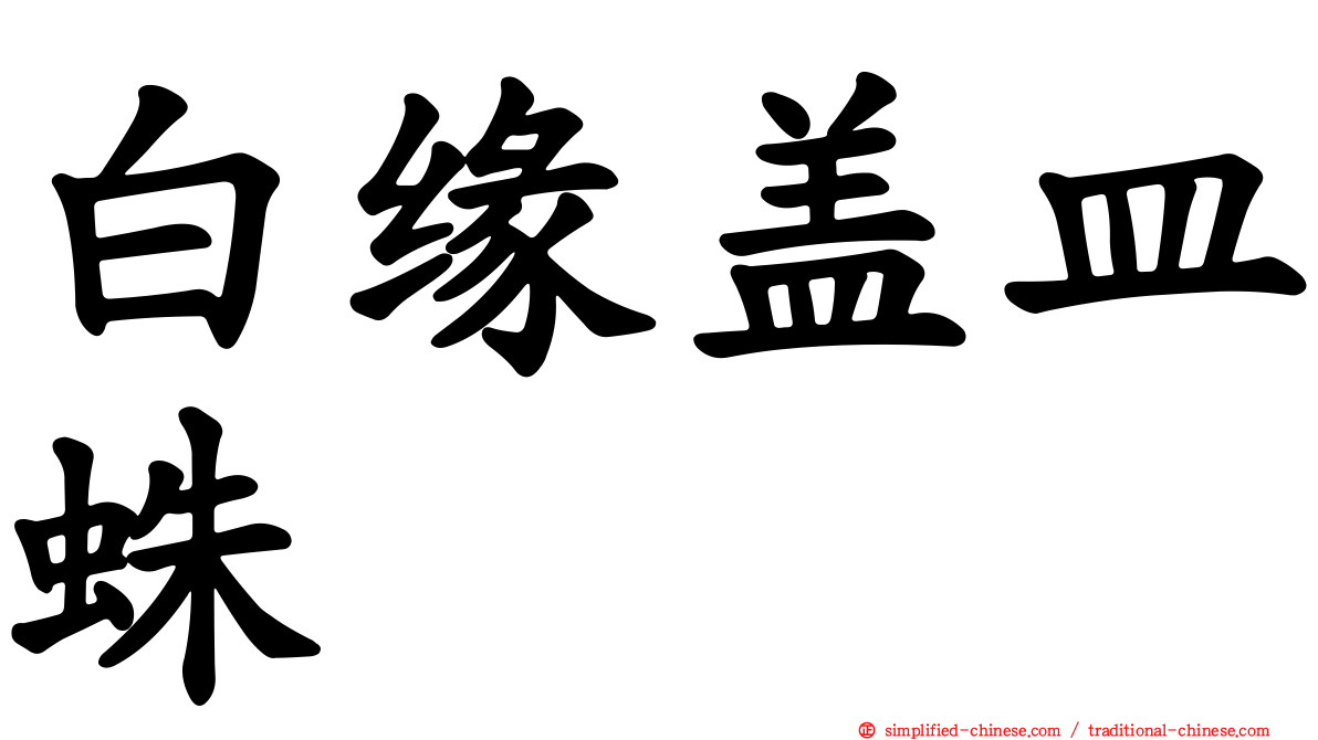 白缘盖皿蛛