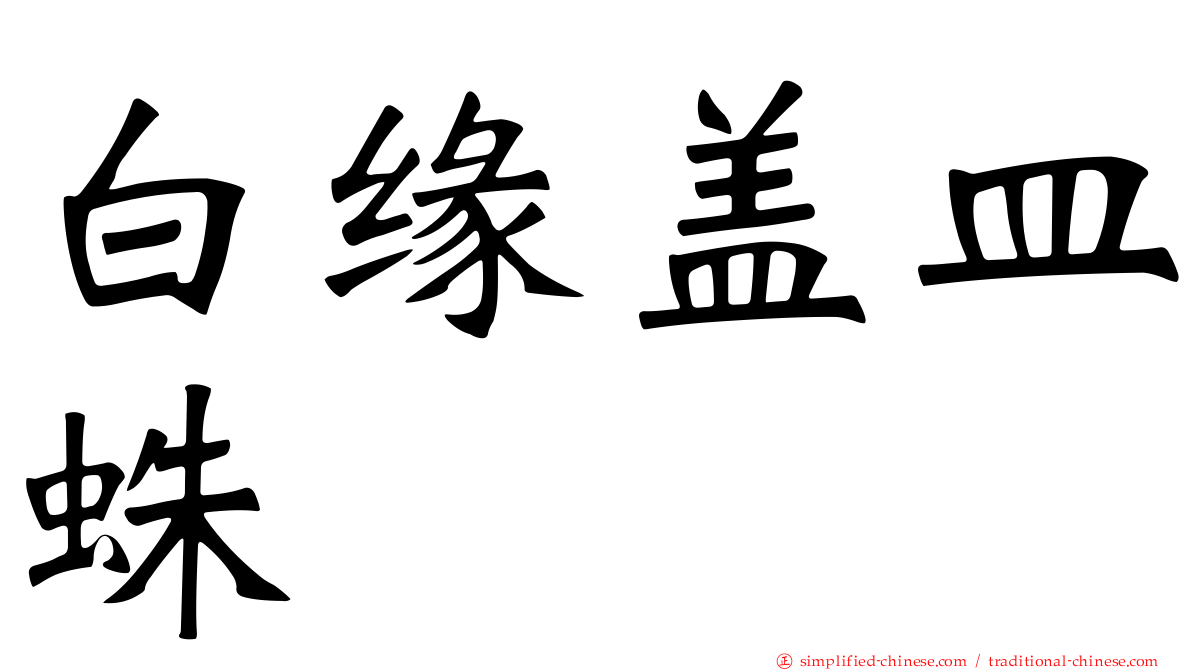 白缘盖皿蛛