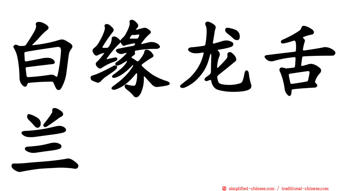白缘龙舌兰