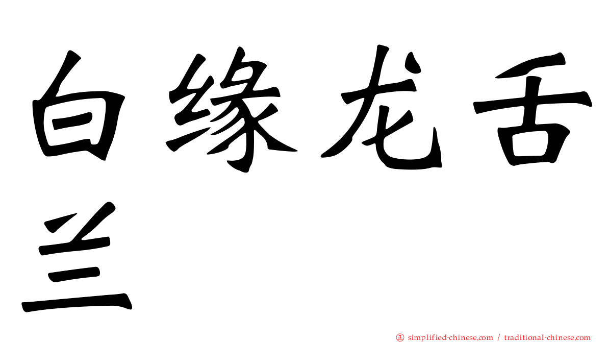 白缘龙舌兰