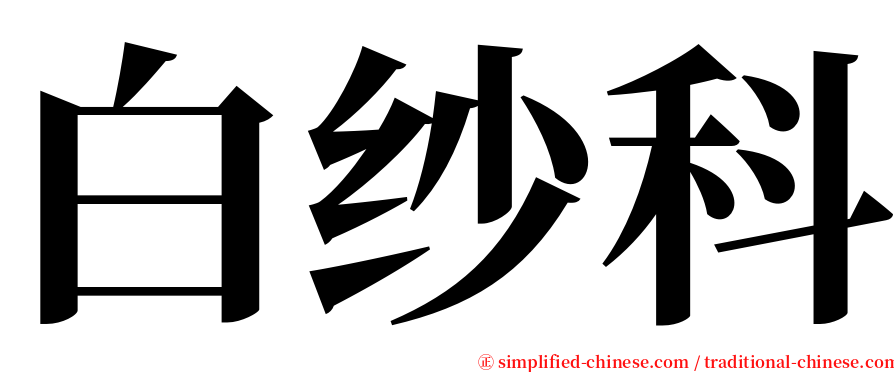 白纱科 serif font