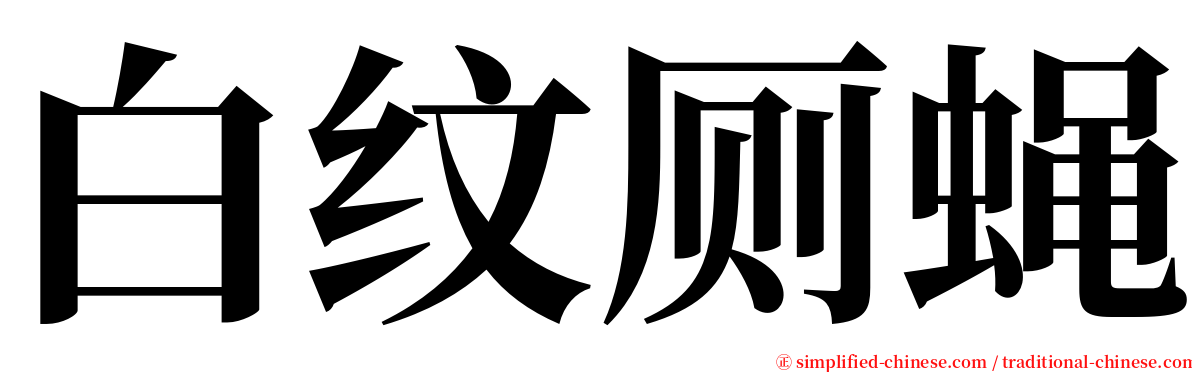 白纹厕蝇 serif font