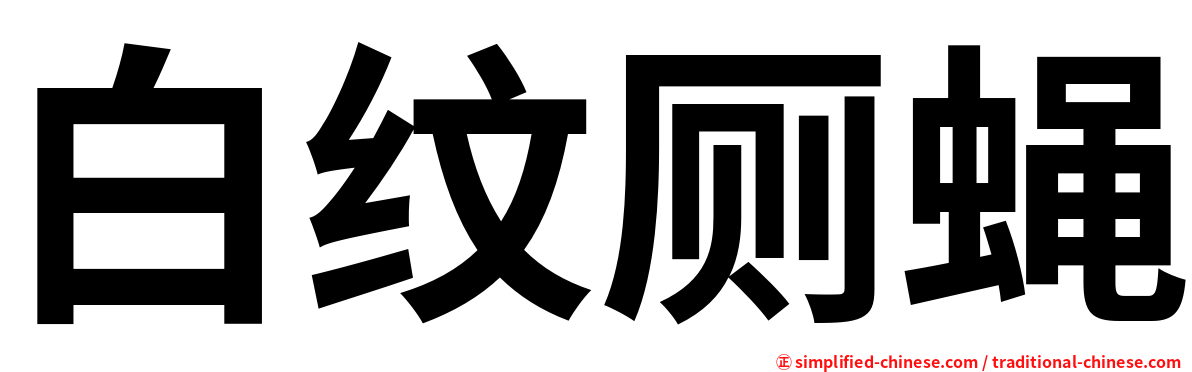 白纹厕蝇