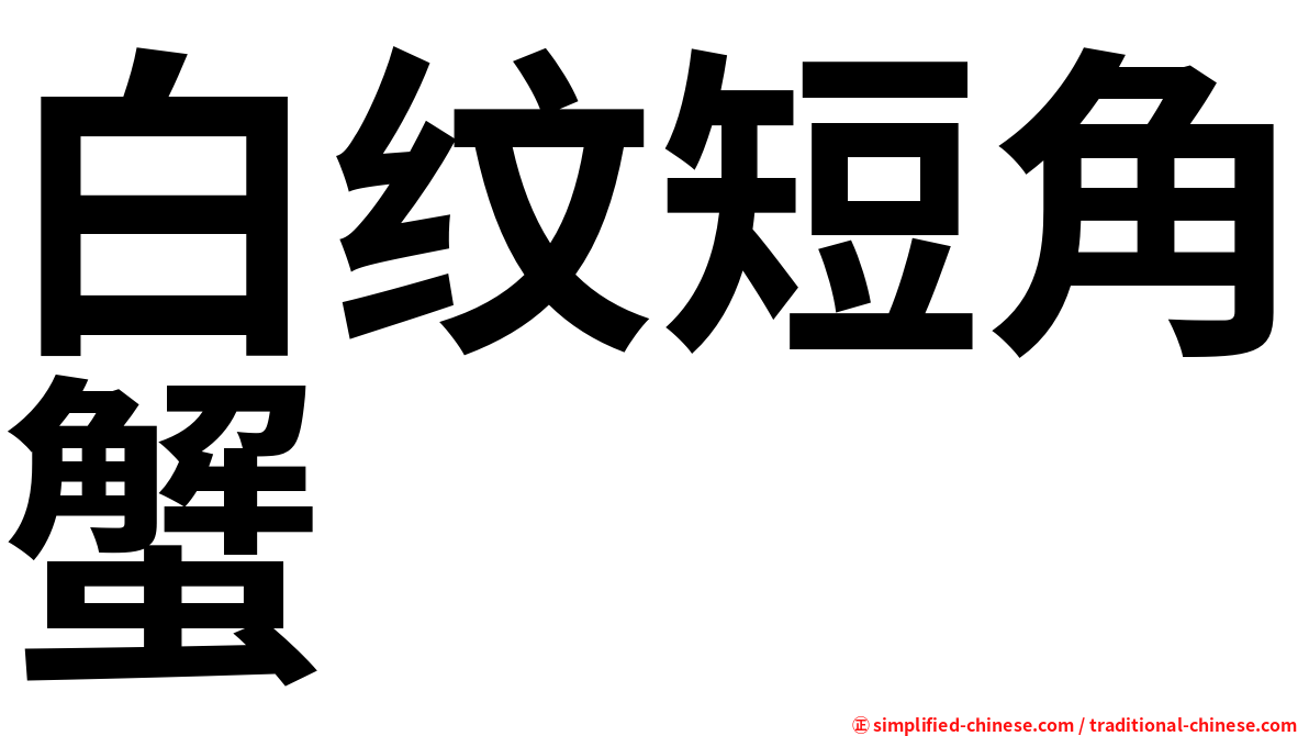白纹短角蟹
