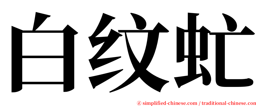 白纹虻 serif font