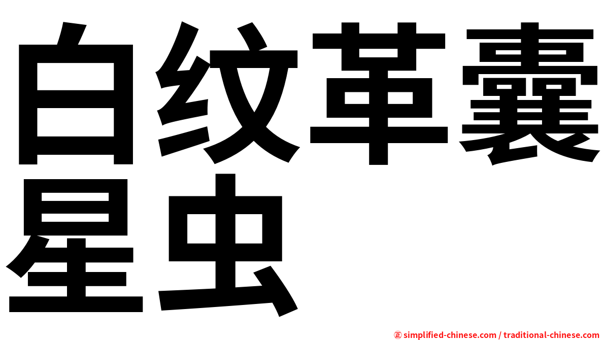 白纹革囊星虫