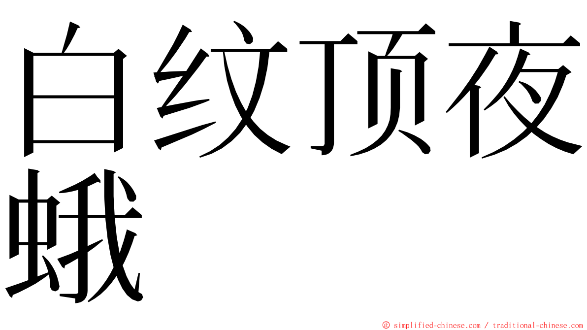 白纹顶夜蛾 ming font