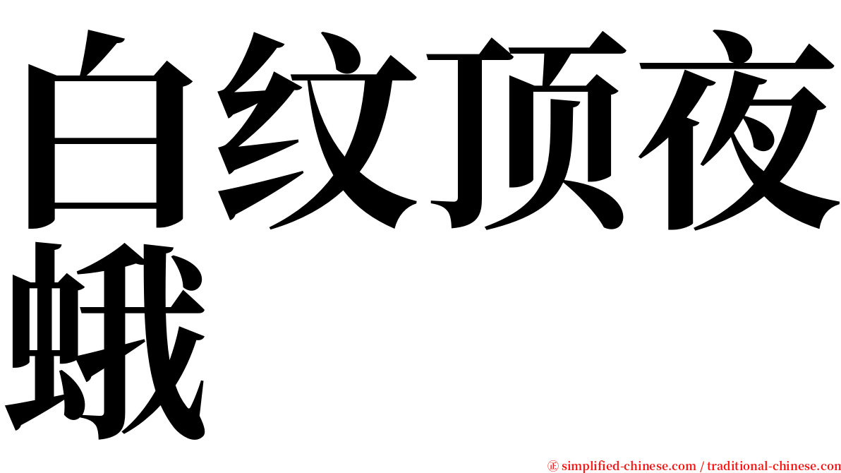 白纹顶夜蛾 serif font