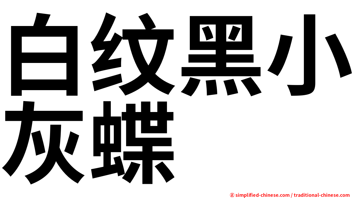 白纹黑小灰蝶
