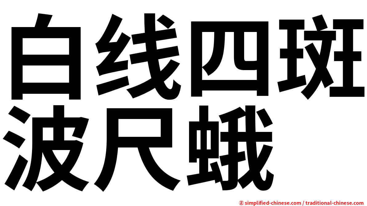 白线四斑波尺蛾
