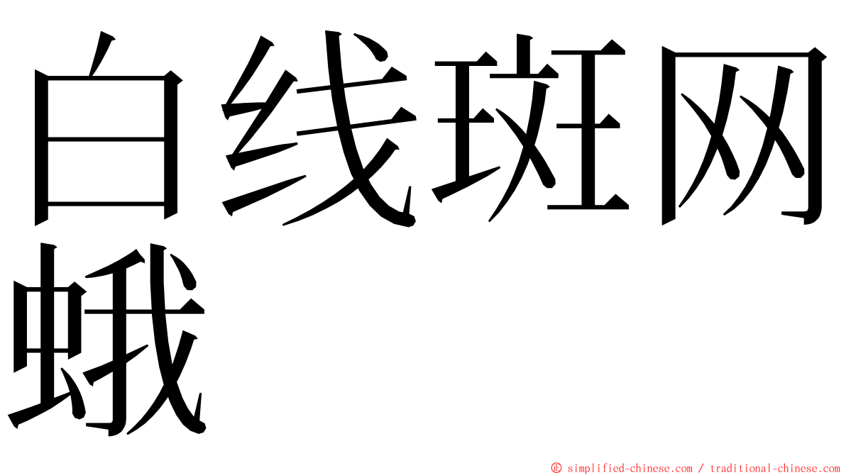 白线斑网蛾 ming font