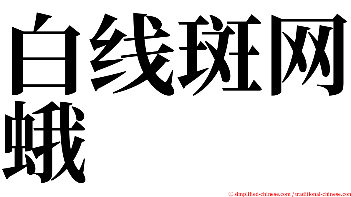 白线斑网蛾 serif font