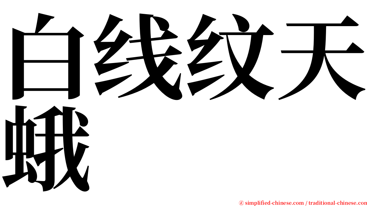 白线纹天蛾 serif font